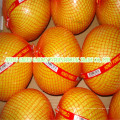 Pomelo frais